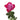 Deep Purple Rose