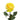 High & Yellow Rose