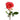 Jalah Rose