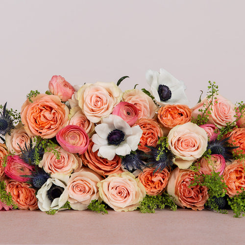 The English Garden DIY