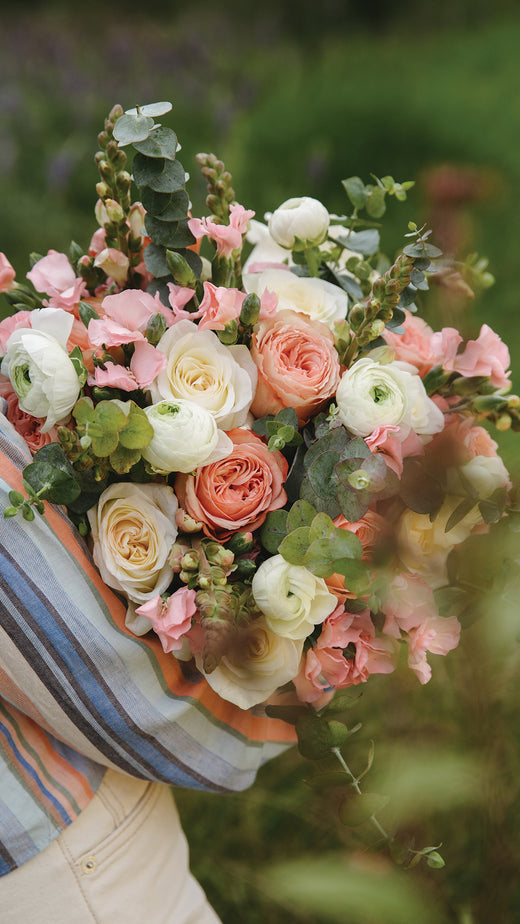New Blooms Have Arrived