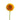Mini Gerbera Bolero Freddy
