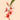 Gladiolus Peach