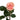 Be Sweet Rose