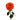Carnelian Rose