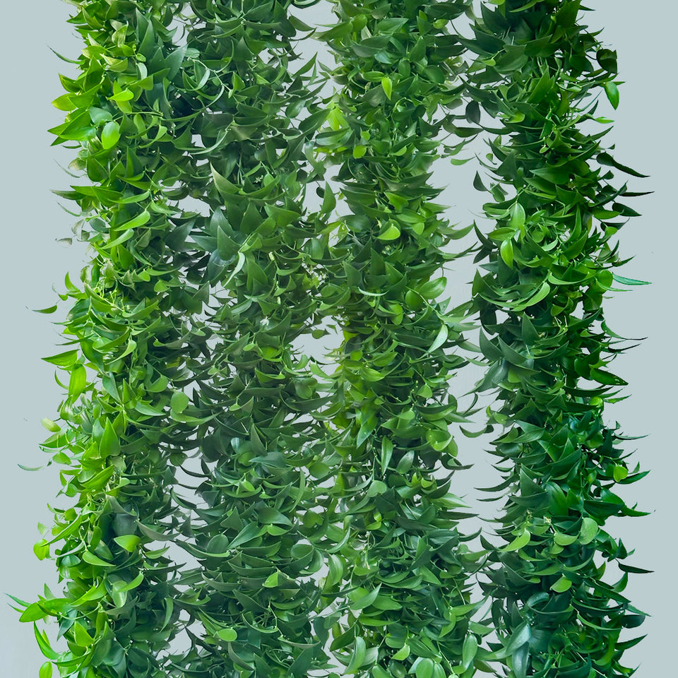 Smillax Garlands Sami Sacha Flowers