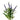 Spray Veronica Purple