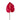 Anthurium Tropical Red