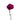 Carnation Purple Pixel