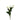 Feverfew Daisy Matricaria Snowball White