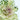 Kale Feather King White