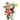 Ranunculus Butterfly Assorted