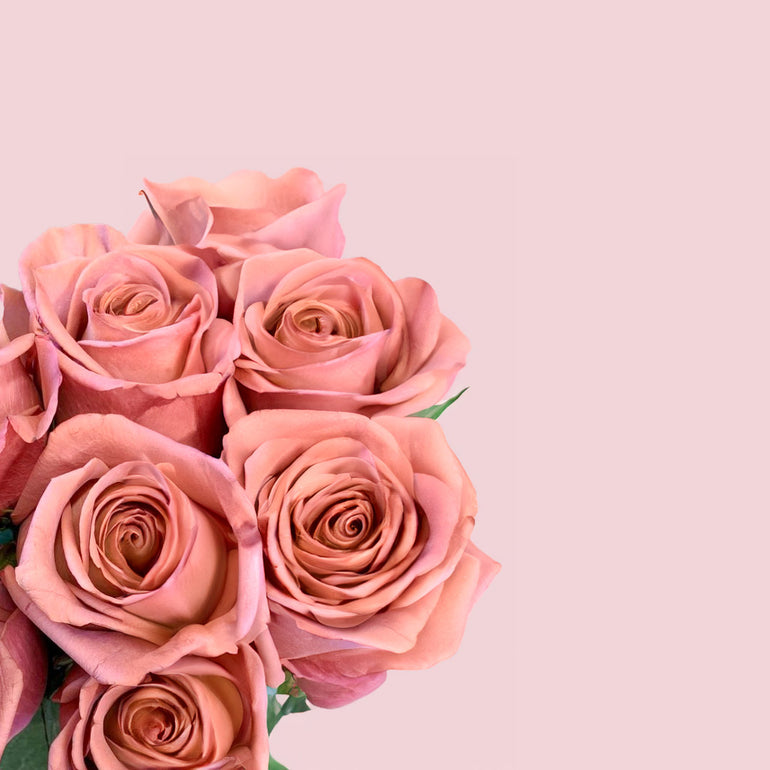 Roses | Sami Sacha Flowers