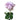 Star Platinum Rose
