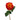Atomic Rose