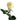 Mondial Rose