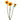 Spray Sunflower
